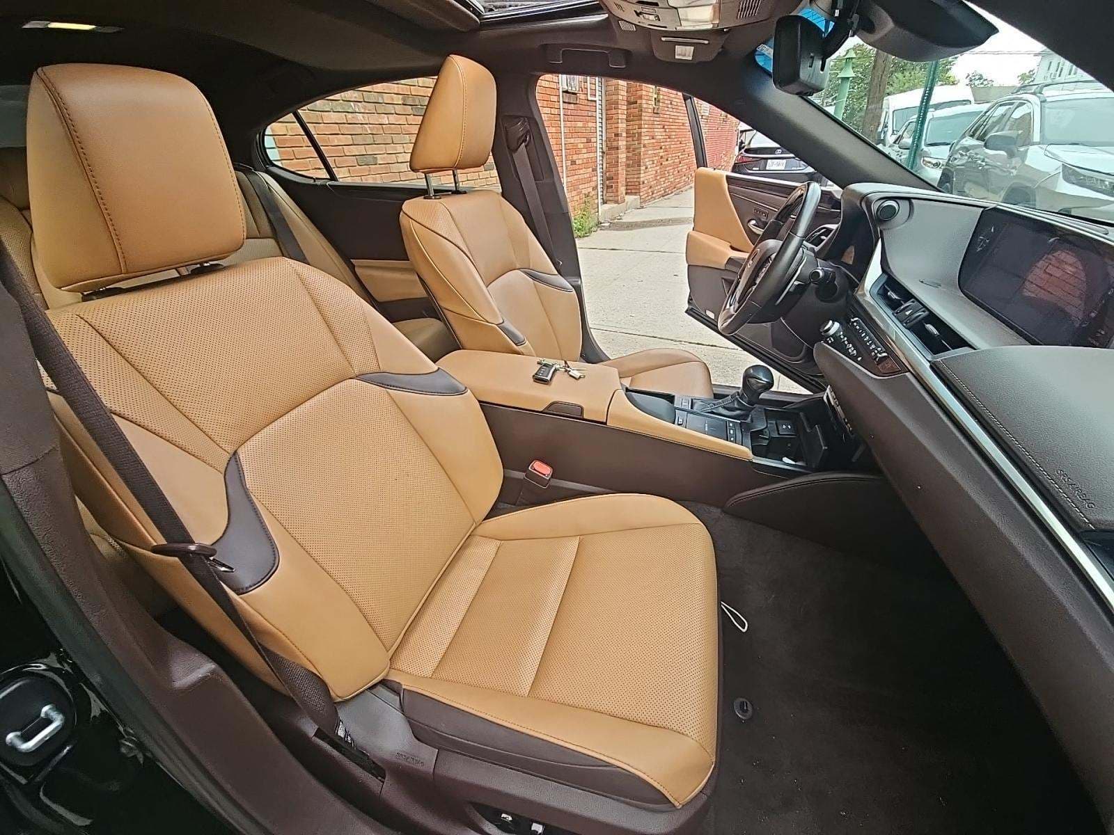 2021 Lexus ES 250 AWD Premium Package photo 8